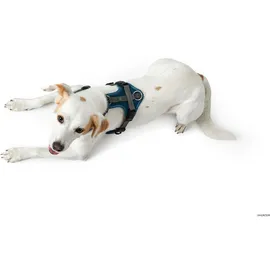 Hunter Maldon Hundegeschirr petrol/grau XS