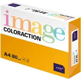 IMAGE Coloraction 80 g/m² (838A080S8)