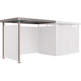Biohort Seitendach zu HighLine H2 Quarzgrau-Metallic