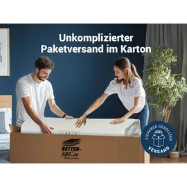 Betten-ABC KSP-500 7-Zonen Kaltschaum 160 x 200 cm H2/H3