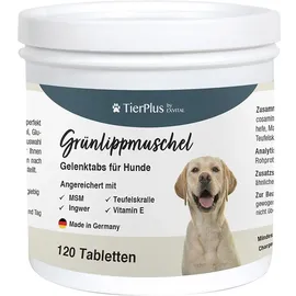 Exvital Grünlippmuschel Plus Gelenktabletten für Hunde 180 g