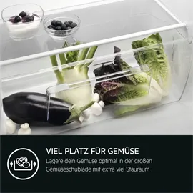 AEG TSF5O881DF Einbaukühlschrank (118 l, 873 mm hoch)