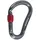 C.A.M.P. Atom Lock HMS-Karabiner Grau