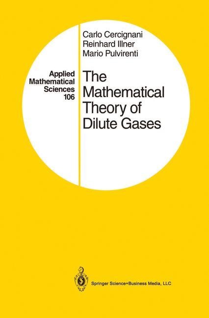 The Mathematical Theory Of Dilute Gases - Carlo Cercignani  Reinhard Illner  Mario Pulvirenti  Kartoniert (TB)