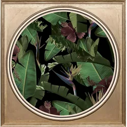 queence Acrylglasbild »Tropische Pflanzen II«, Blumen-Blumenbilder-Kunst-Pflanzen-Pflanzenbilder-Gemälde-Wald-Waldbilder, Fine Art-Print in Galeriequalität queence Farbe Bild(er): bunt
