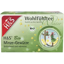 H&S Wintertee Bio Minze-Gewürze