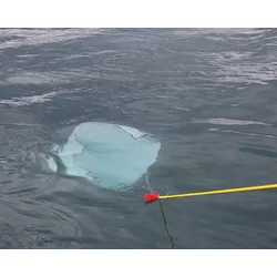 Catch & Lift Rescue System