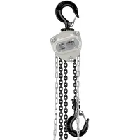 Wiltec Kettenzug bis 250 kg, robuster Handkettenzug 3 m Hubhöhe, Tragmittel mit 3 m Lastkette, Hebezeug manuell, hochbelastbares Hebemittel