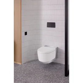 Geberit AquaClean Mera Comfort (146210211)
