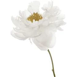 Wandtattoo QUEENCE "Danile", gelb, B:70cm, Folie, Wandtattoos, Wandbild, Sticker, Blume, Blüte, selbstklebend