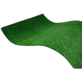 Primaflor Kunstrasen SPRING 100 x 500 cm Grün