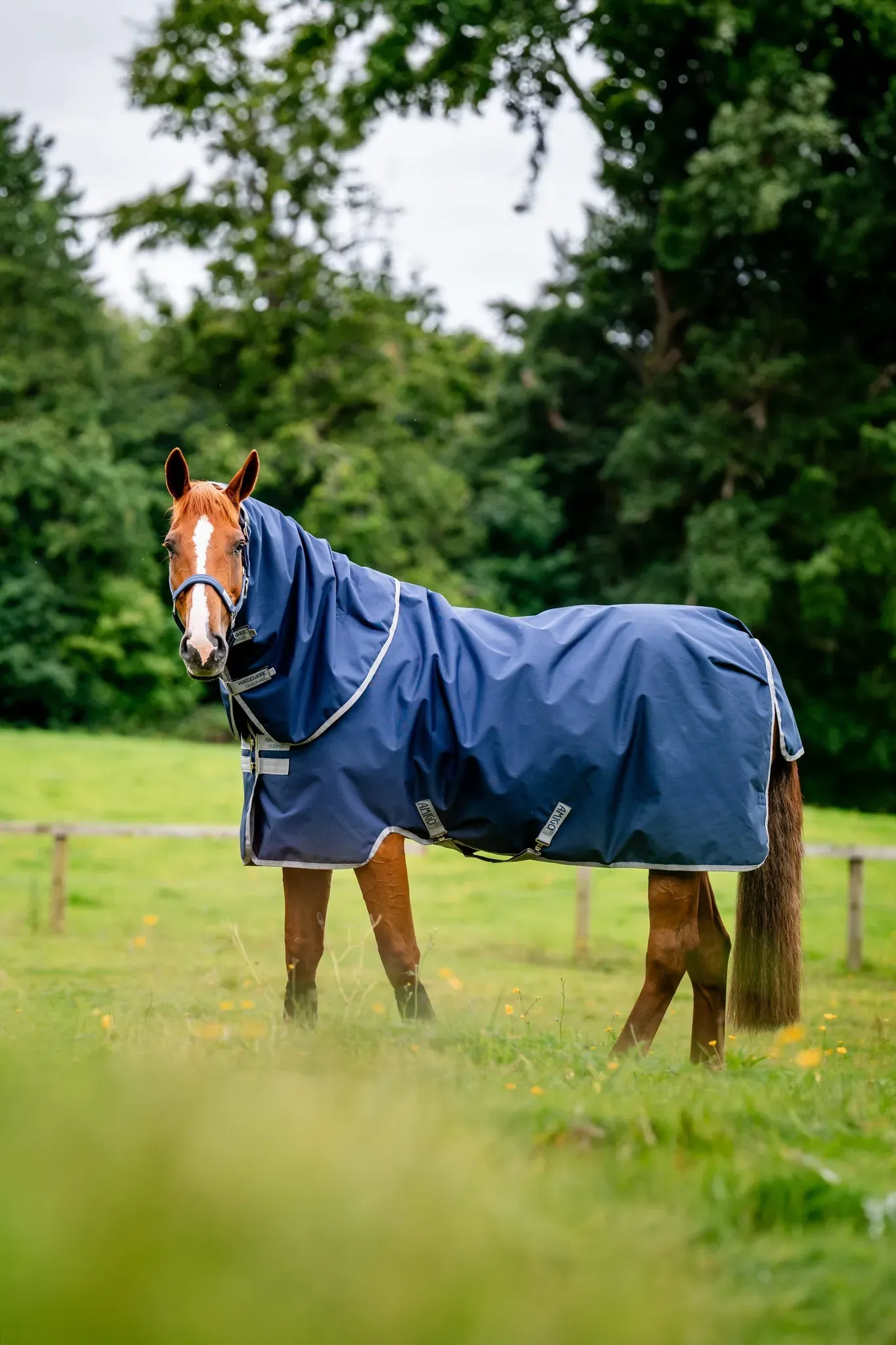 Horseware Amigo Ripstop 900D Plus Weidedecke mit abnehmbarem Halsteil, 100 g