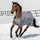 Bucas Smartex Turnout Extra Classic 300g 145 cm Grau