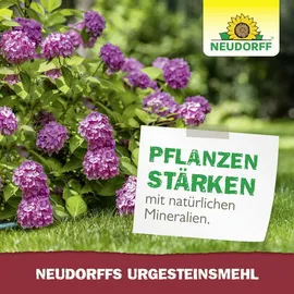 NEUDORFF Urgesteinsmehl 2,5 kg