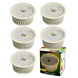 Trango LED-Modul MO15-5 5W GU10 warmweiß 5 St.