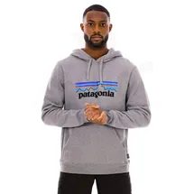 Patagonia Hoodie Grau L