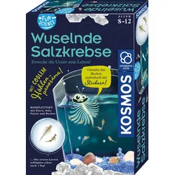 KOSMOS -  Fun Science Wuselnde Salzkrebse Züchte Urzeitkrebse und entdecke ihren Lebensraum Experimentierkasten