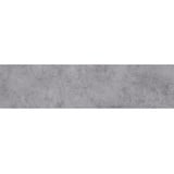 BARIDECOR AQUA Wandpaneel, Concrete, BxL: 300 x 1200 mm - grau