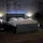 vidaXL Boxspringbett 180 x 200 cm Dunkelgrau
