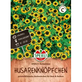 Sperli Husarenknopf Knöpfchen