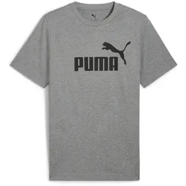 Puma ESS No. 1 Logo grau 4XL