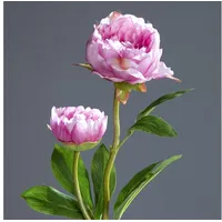 Seidenblumen Roß Pfingstrose mit 2 Blüten 60cm rosa-pink DP