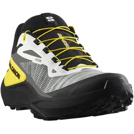 Salomon Aero Glide 3 Herren Grau / Silber 44