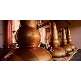Glendronach 12 Years Old Original Single Malt Scotch 43% vol 0,7 l Geschenkbox