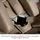 Recaro Xenon 1 Epic Green