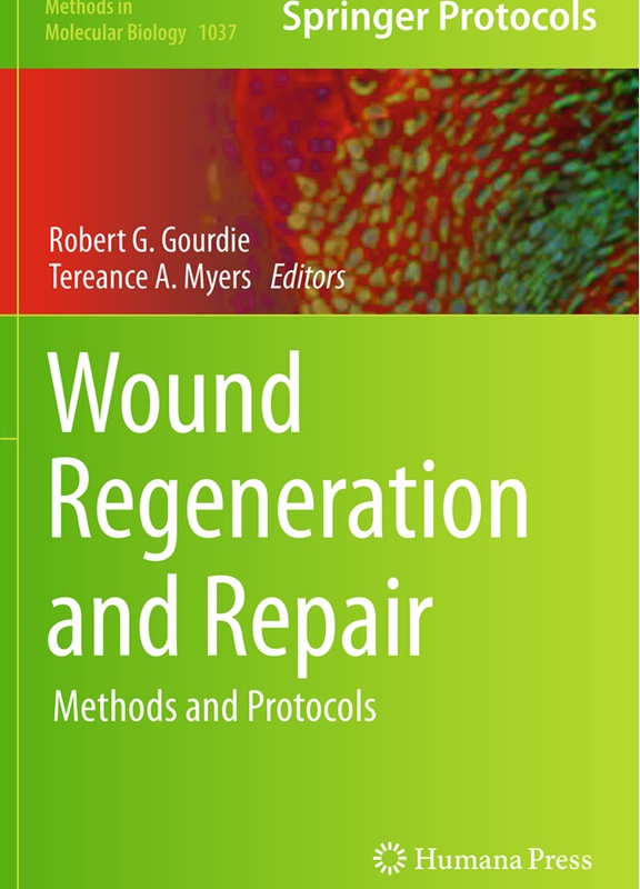 Wound Regeneration And Repair, Kartoniert (TB)