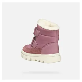 GEOX Willaboom Ankle-Boots Rosa 26