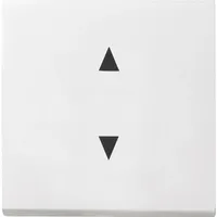 Gira Wippschalter 861603