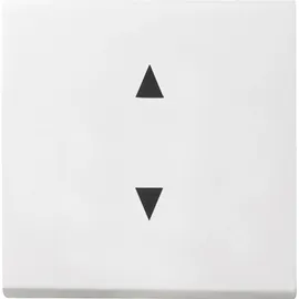 Gira Wippschalter 861603