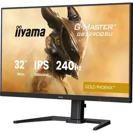 Iiyama GB3290QSU 80cm 31,5"