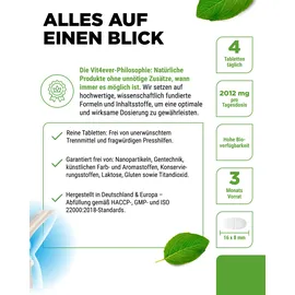 Vit4ever Glucosamin Chondroitin MSM Tabletten 365 St.