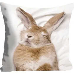 Dekokissen QUEENCE "Ketut", braun (braun, bedruckt), B:40cm L:40cm, Polyester, Dekokissen_Sitzkissen_Kissenhüllen, mit einem schlafenden Hasen