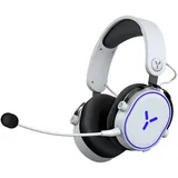 ISY IC-6010