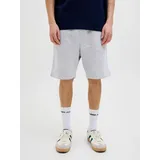 JACK & JONES Sweatshorts JPSTGORDON mit elastischem Bund unifarben, modisch, regular fit, Webstoff grau S