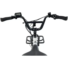 Llobe Cargo City E-Bike Cargado 42 Zoll RH 42 cm weiß