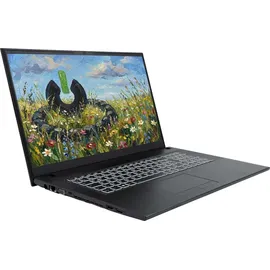 Sony JodaBook C17 Pure 17,3" Intel Core i7-1255U 8 GB RAM 500 GB SSD Win 11 Pro Schwarz