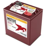 Trojan T-105 AES 6V 207Ah (C20) Deep Cycle Blei-AGM Traktionsbatterie M8- Anschluss