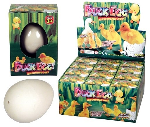 Fun Trading magisches Enten Ei schlüpfende Ente schlüpft & wächst Kinder +3 J...
