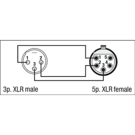 DAP AUDIO Adapter XLR 5P weiblich - XLR 3P männlich 0,07m (FLA30)