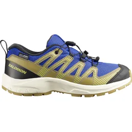 Salomon XA PRO V8 Kinder Blau/Schwarz 31