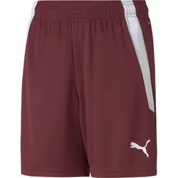 Puma Teamliga Shorts Jr cordovan-puma white (09) 140