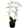 vidaXL Künstliche Orchidee mit Topf 65 cm Weiß