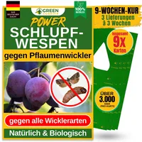 green guardia Schlupfwespen gegen Pflaumenwickler Pheromonfalle 3 Karten