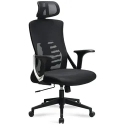 Bürostuhl Ergonomisch mit Mesh-Netzgewebe | 65x65x123 cm Drehbar | Schwarz-Silber | 4-Fach Lordose & Kopfstütze | Astra Kollektion | Kadima Design