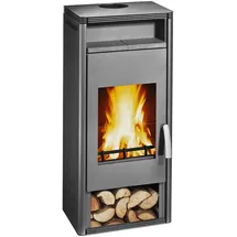 Wamsler Fulgor Kaminofen Stahl Schwarz