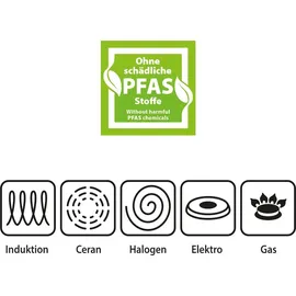 Genius Cerafit Revolution Topf-Set 12-tlg. Bratpfanne + Glasdeckel